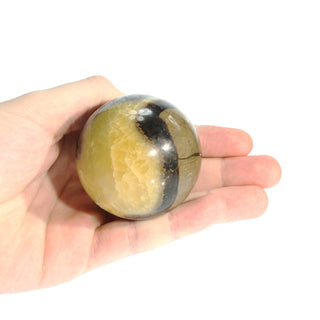 Septarian Sphere - Small #2 - 2 1/4"    from The Rock Space