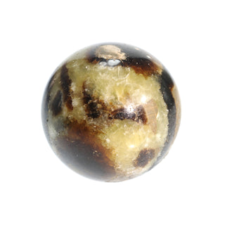 Septarian Sphere - Extra Small #3 - 2"    from The Rock Space