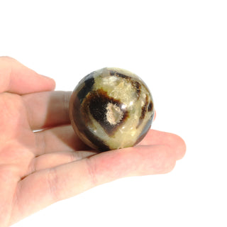 Septarian Sphere - Extra Small #3 - 2"    from The Rock Space