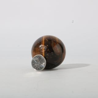 Tiger Eye Sphere - Small #1 - 2" from The Rock Space