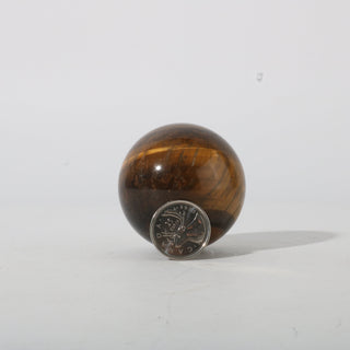 Tiger Eye Sphere from Stonebridge Imports