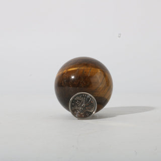 Tiger Eye Sphere from The Rock Space