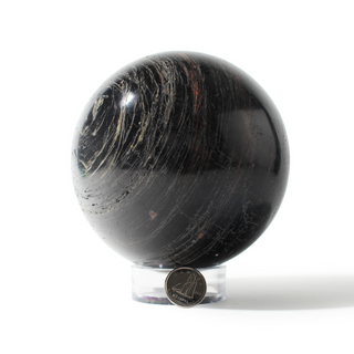 Tourmaline with Hematite Sphere Unique #6 - 4" from The Rock Space