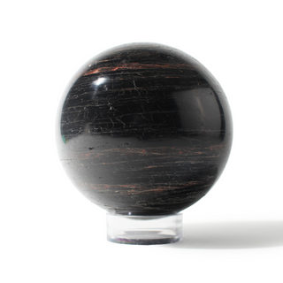 Tourmaline with Hematite Sphere Unique #6 - 4" from The Rock Space