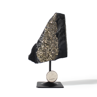 Pyrite on Basalt Specimen on Stand #2 from The Rock Space