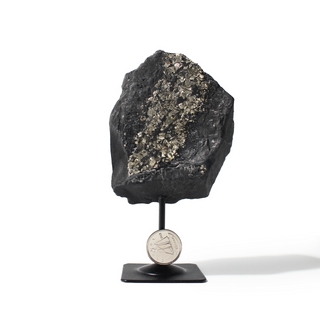 Pyrite on Basalt Specimen on Stand #3 from The Rock Space
