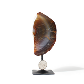 Agate Geode on Metal Stand - 3 1/2" to 5 1/2" from The Rock Space