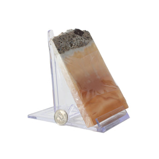Plastic Adjustable Display Stand - 10" - 5 Pack from The Rock Space