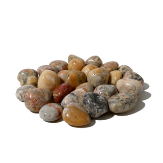 Crazy Lace Agate Tumbled Stone from The Rock Space