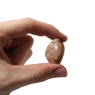 Crazy Lace Agate Tumbled Stone from The Rock Space