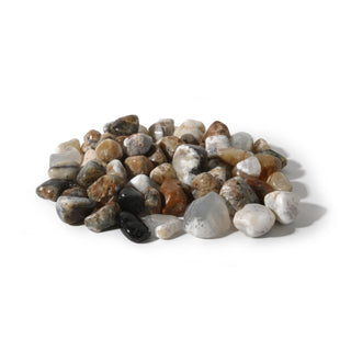 Agate Dendrite Tumbled Stones from The Rock Space