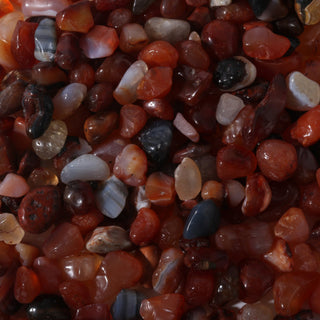Carnelian Red Agate Tumbled Stones - Mini from The Rock Space