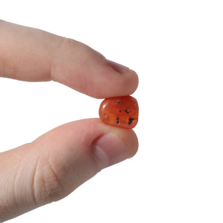 Carnelian Red Agate Tumbled Stones - Mini from The Rock Space