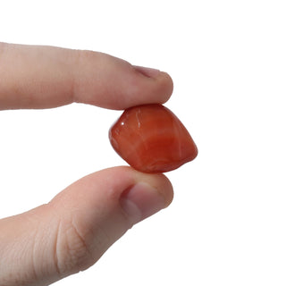 Carnelian Red Agate Tumbled Stones from The Rock Space