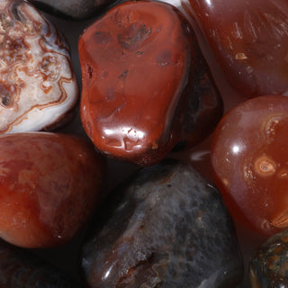 Carnelian Red Agate Tumbled Stones    from Stonebridge Imports