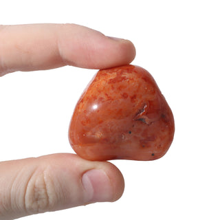 Carnelian Red Agate Tumbled Stones    from Stonebridge Imports