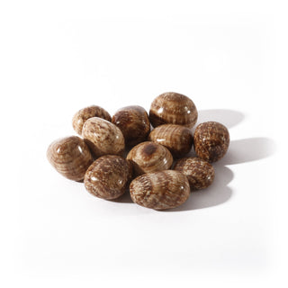 Aragonite Brown Tumbled Stones from The Rock Space