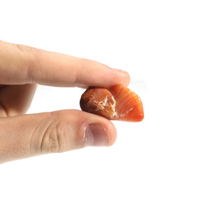 Carnelian A Tumbled Stones - Brazil from The Rock Space