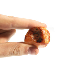 Carnelian A Tumbled Stones - Brazil from The Rock Space