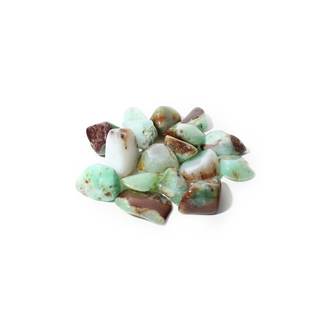 Chrysoprase A Tumbled Stones - Australia from Stonebridge Imports