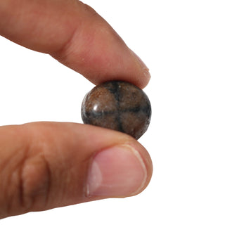 Chiastolite Tumbled Stones from The Rock Space