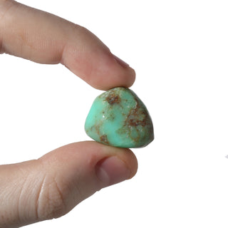 Chrysoprase E Tumbled Stones - Brazil from The Rock Space