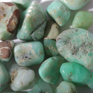 Chrysoprase E Tumbled Stones - Brazil from The Rock Space