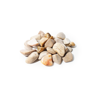 Agatized Coral Tumbled Stones from The Rock Space