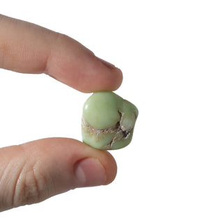 Chrysoprase A Tumbled Stones - Semi-Polished - Brazil from The Rock Space