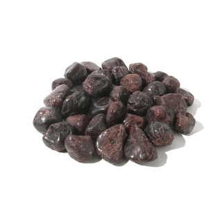 Garnet A Tumbled Stone - Free Form - 1lb Small from The Rock Space