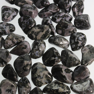 Indigo Gabbro Tumbled Stone    from The Rock Space