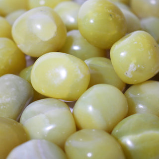 Green Jade Tumbled Stones from The Rock Space