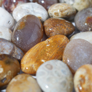 Fossil Jade Tumbled Stones from The Rock Space