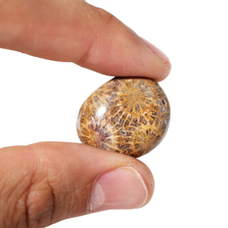 Fossil Jade Tumbled Stones from Stonebridge Imports