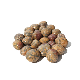 Red Leopardskin Jasper Tumbled Stones Medium from Stonebridge Imports