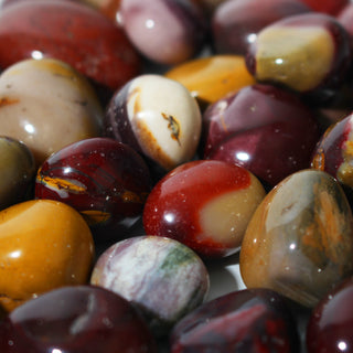 Mookaite Jasper Tumbled Stones - 1lb from Stonebridge Imports