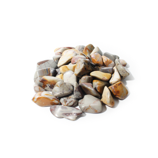 Polychrome Jasper Tumbled Stones from The Rock Space