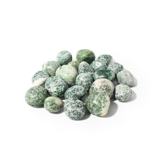 Green Spot Jasper Tumbled Stone Large from The Rock Space