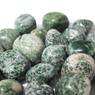 Green Spot Jasper Tumbled Stone from The Rock Space