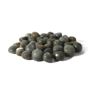 Labradorite A Tumbled Stones - India Medium from Stonebridge Imports