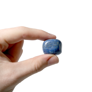 Lapis Lazuli B Tumbled Stones    from The Rock Space