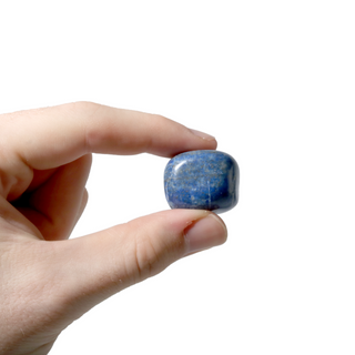 Lapis Lazuli B Tumbled Stones from The Rock Space