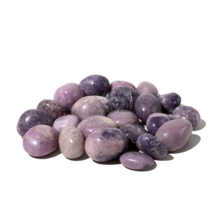 Lepidolite Tumbled Stone 'B' (India) - 1lb bag from The Rock Space