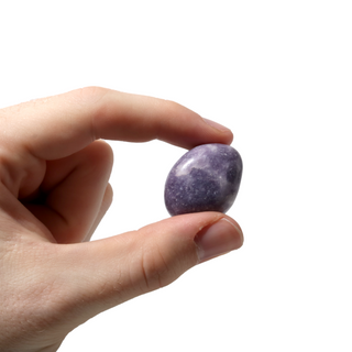 Lepidolite Tumbled Stone 'B' (India) - 1lb bag    from The Rock Space