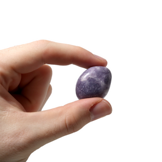 Lepidolite Tumbled Stone 'B' (India) - 1lb bag from The Rock Space