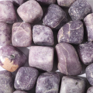 Lepidolite Tumbled Stone 'B' (India) - 1lb bag from The Rock Space
