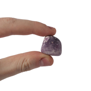 Lepidolite Tumbled Stone 'B' (India) - 1lb bag from The Rock Space