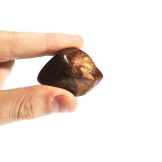 Petrified Wood Tumbled Stones - Madagascar from The Rock Space