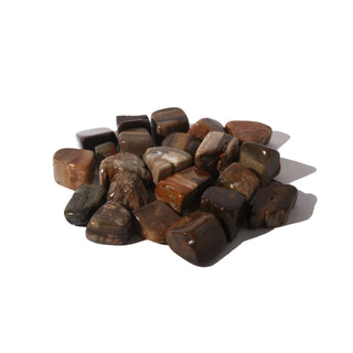 Petrified Wood Tumbled Stones from The Rock Space