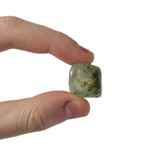Prehnite Tumbled Stone 'B' (India) - 1lb bag from The Rock Space